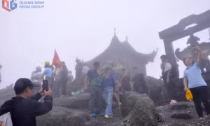 雾中的安子