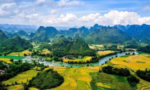 绿色旅游成越南2025年春节“顶流”