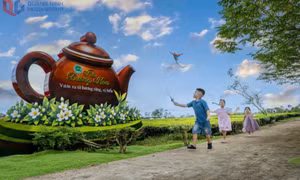2026年唐花茶节在唐花乡举行