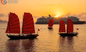 碧绿海湾上的红色风帆
