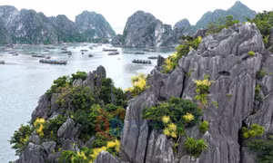 广宁省批准《保护、开发与弘扬下龙湾—安子世界遗产价值，联动拜子龙湾发展》提案
