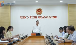 第73届世界小姐大赛开幕式于8月在广宁举行