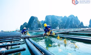 云屯计划发展海洋岛屿生态旅游与水产养殖相结合的新模式