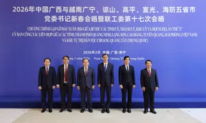2026年新春会晤：续写中越友好合作新篇章
