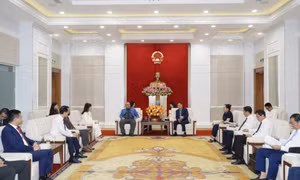 阿拉伯企业家理事会考察广宁省投资机遇