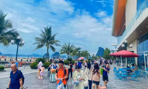 云屯调整增长目标