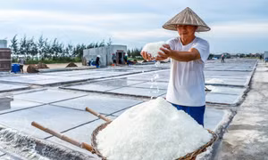 越南盐田之美