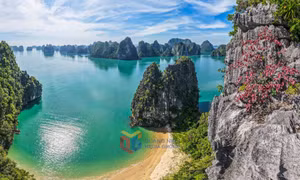 秋色下的下龙湾