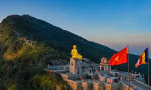通庵——安子名山珍贵药材价值的见证者