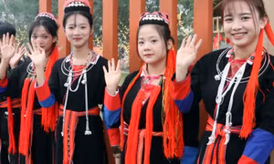 携手守护文化脉络