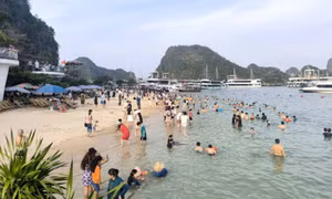 广宁省各海滨浴场游客如织