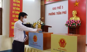 我省人民委员会主席在芒街市行使公民权利