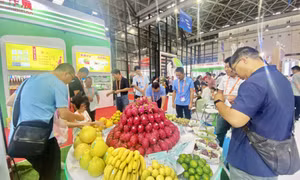 第20届中国——东盟博览会在南宁举行