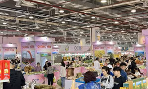 2024年越南广宁东北地区博览会将从8月29日至9月3日举行