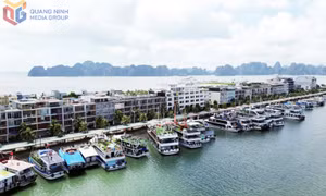 旅游船只全力备战春节高峰期