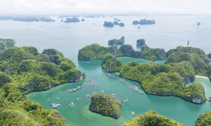 下龙湾被联合国教科文组织列为世界自然遗产30周年