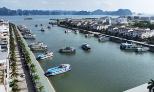 满足游客下龙湾参观游览需求