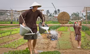 多元化的农业旅游体验