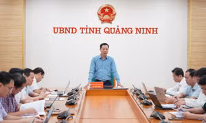 着力推动落实广宁—广西会谈纪要内容