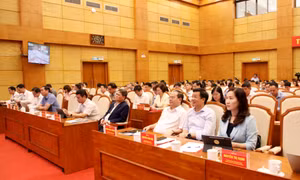 贯彻落实越共中央政治局2026年6月8日第10号决议