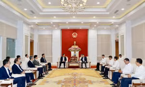  广宁省人民委员会主席裴文康会见越南韩国商会代表团