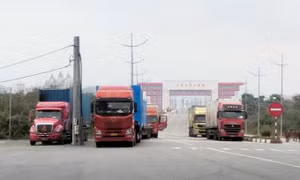 广宁各企业今年前5个月进出口总额超10亿美元