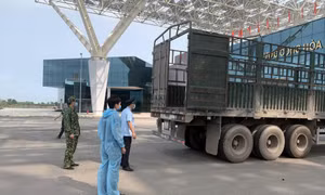 芒街市确保货物顺利通关