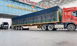 北仑河二桥进出口货物700吨