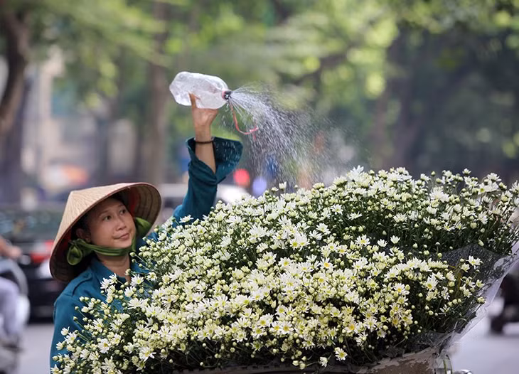 一位农民在首都街上卖花。