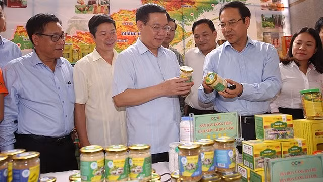 王庭惠副总理参观“一个乡一个产品”计划产品的展区。（图片来源：VGP）