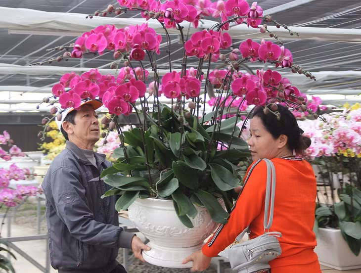 匆忙给顾客鲜花成品。