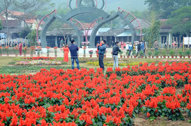 “广罗天上花苑”生态旅游区将成为当地新的特色旅游景点，对促进我省及当地的旅游发展发挥了积极作用。