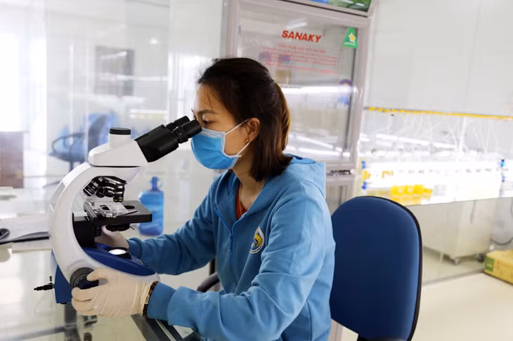 栽培微操之前必要把微操放在显微镜下看以检查微操的质量。