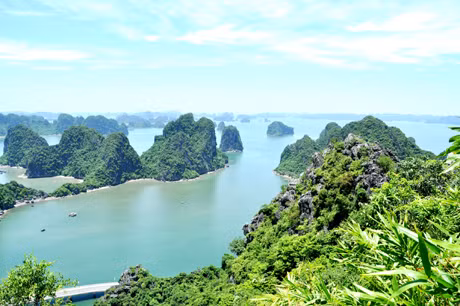  驻日本和韩国的旅游办事处将为推介广宁旅游形象作出积极的贡献。