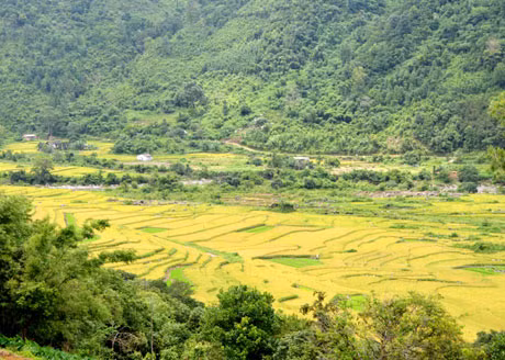 Ngắm ruộng bậc thang từ trên cao.