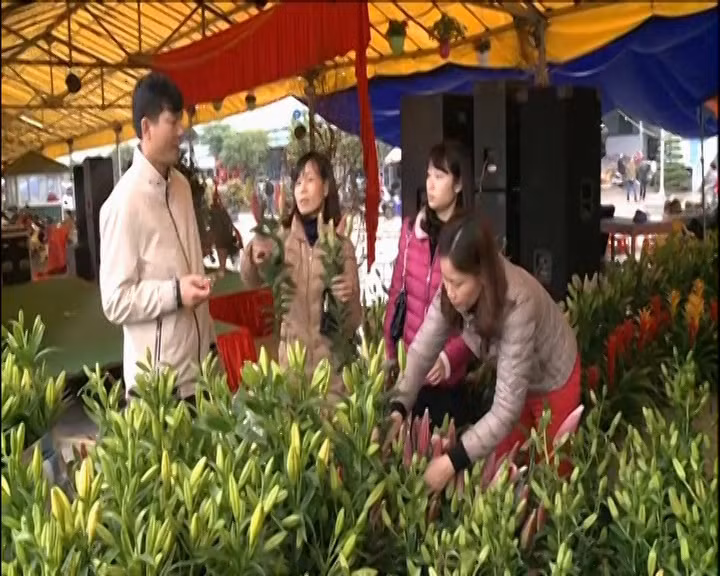 迎春花卉展销会