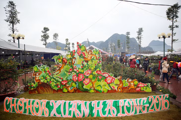 2016春节花市正式开放 ảnh 8