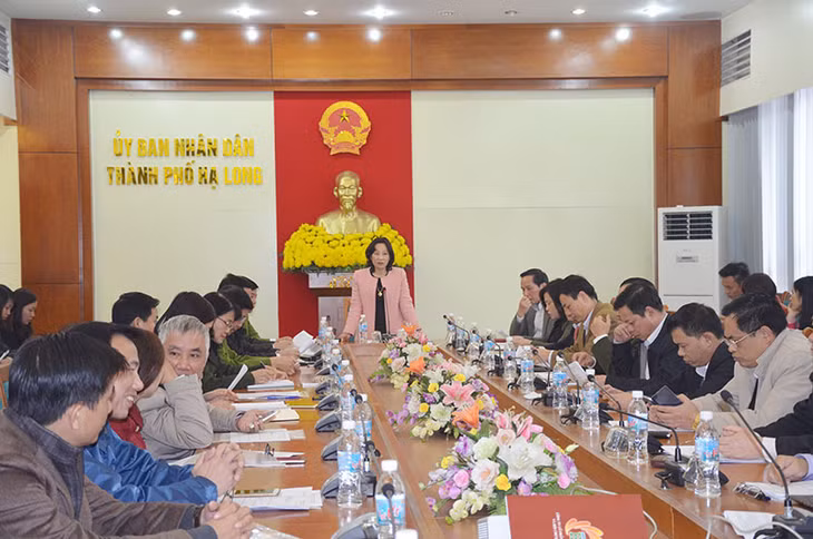 会议就下龙樱花节举办场地布置进行讨论。