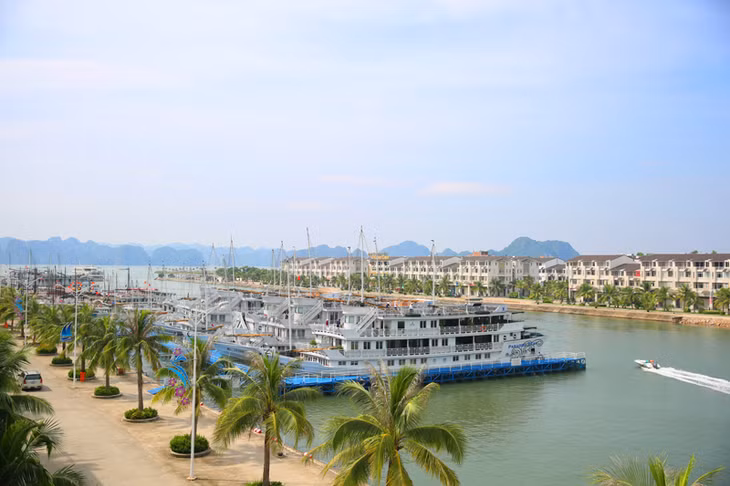 现代的旅游码头。