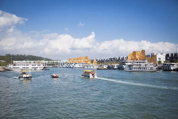 目前已经有大约200个船舶公司的上百个旅游船在巡洲国际旅游码头进出。