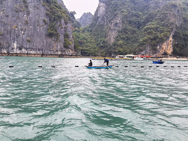 云屯县渔民试点使用HDPE浮标。