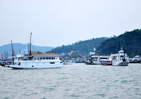 在2012年下龙湾周期间，各旅行社、旅游企业将对下龙湾旅游产品进行考察。