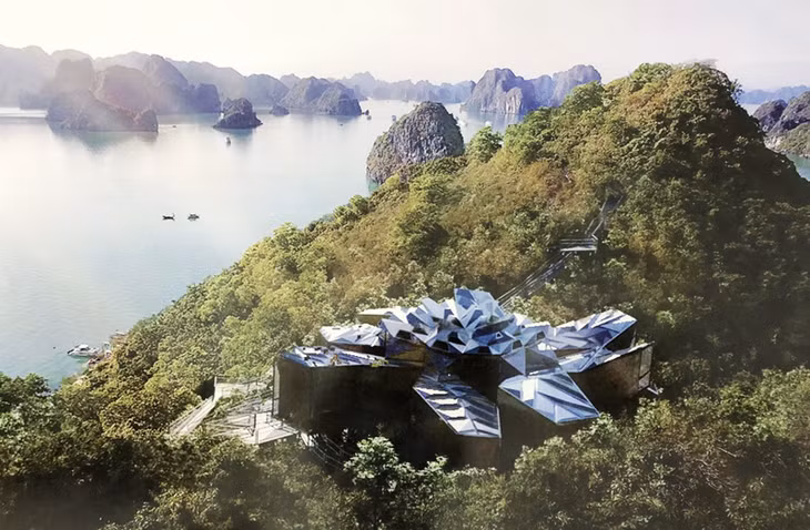 赛辛岛植物保护区。