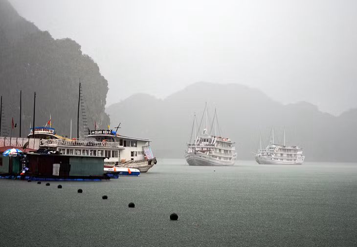 下龙市政府要求所有旅游船在运送游客中要在船身两侧，客房，机房安装VHF, GPS, 监控摄像头等系统，并确保这些系统能够正常运行