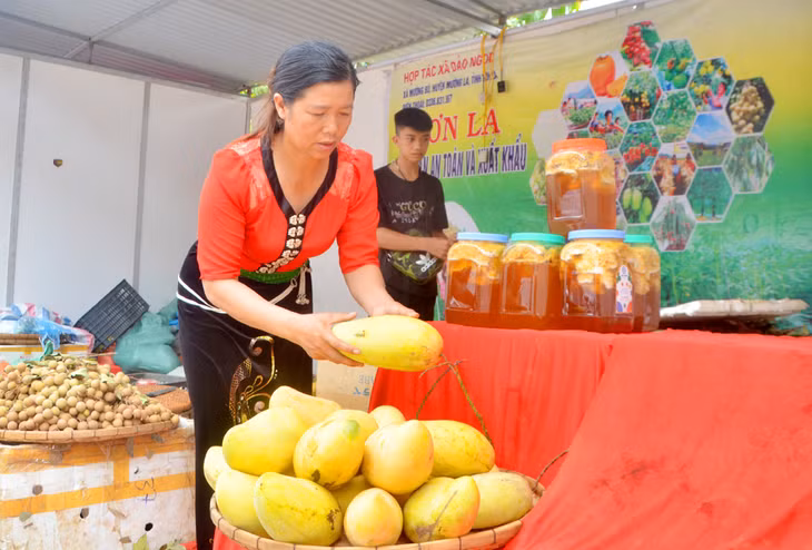 山萝省展位有各种当地的水果和森林蜂蜜。