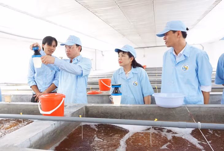 我省省委书记、省人民议会主席阮春记一行视察越奥集团的高质量养虾综合区项目。
