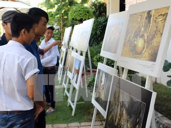 附图：广宁省越南遗产摄影展（图片来源：越通社）