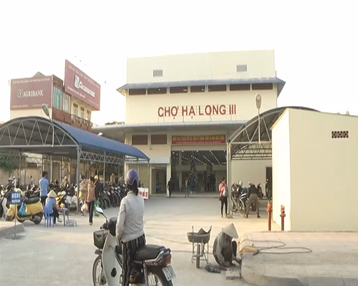 下龙三号市场