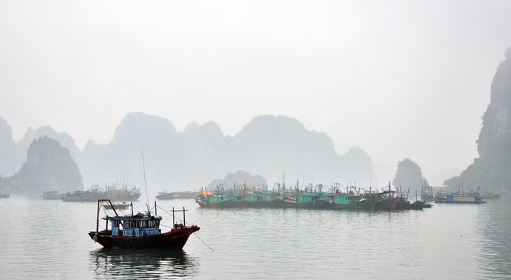 晨雾中如诗如画的下龙 ảnh 11