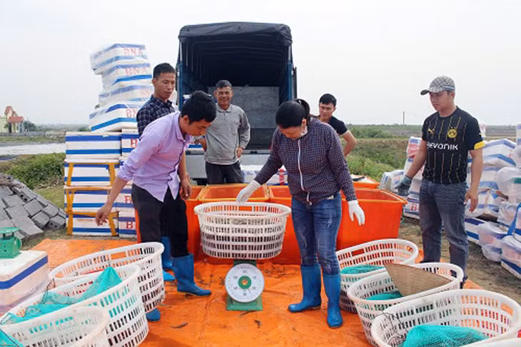 广明乡的水产养殖基地经济效益高，为当地经济社会发展做出积极的贡献。